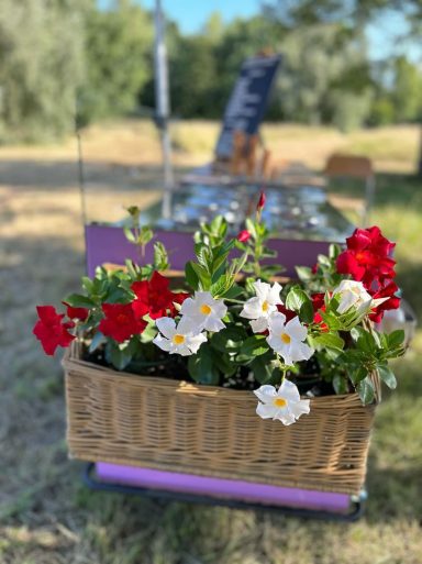 Eisfahrrad Blumendeko